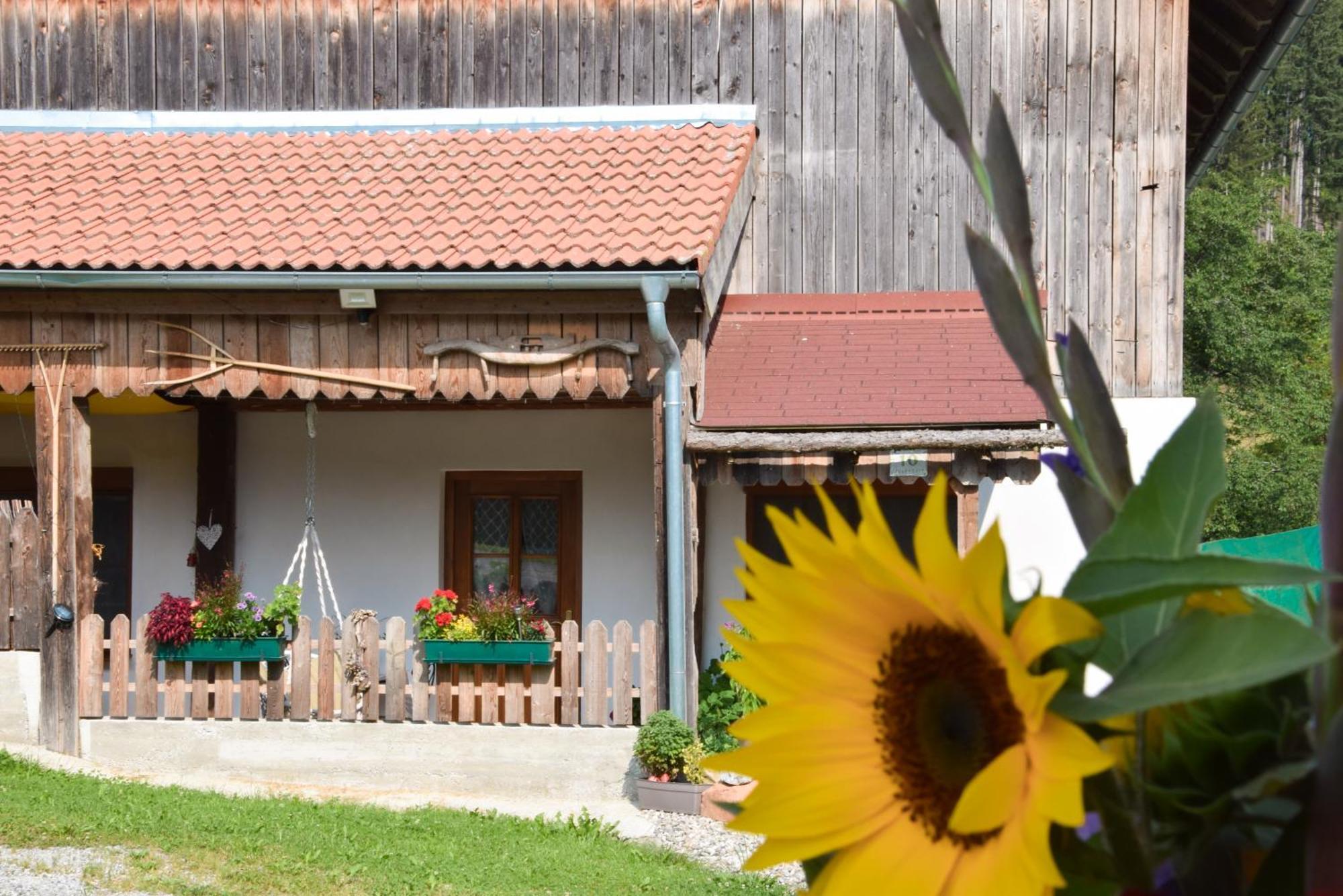Romantiksuite Bei Seitberger Frauenberg ภายนอก รูปภาพ